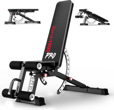 Panca Palestra, Con 600 Kg