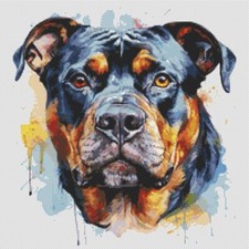 American Bully Puppy Dog opera