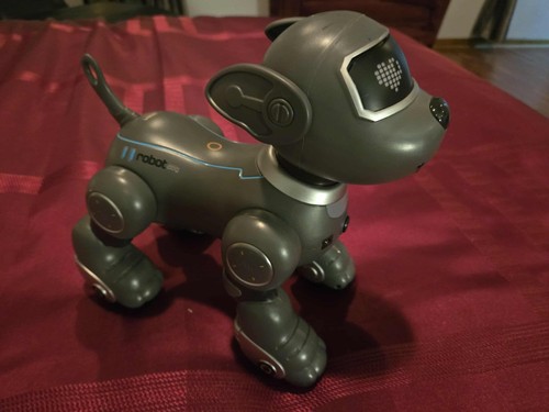 Robot giocattolo per cani - giocattolo,