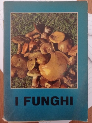 Funghi - i,