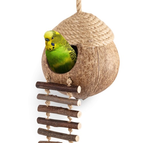 Capanna nido uccelli cocco con
