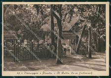 Lucca Viareggio Pineta Ritrovo