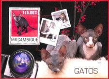 A4228 -MOZAMBICO - ERRORE ERRORE ERRORE ERRORE Foglio ricordo: 2014 Gatti, Sphynx, Fotografia