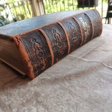 Bibbia Inglese 800 . In lingua