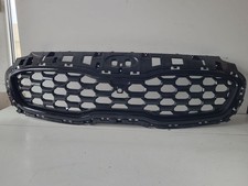 Griglia superiore radiatore