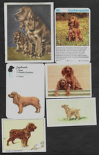Lotto 13 diverse carte vintage
