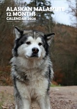 Calendario Alaskan Malamute A3