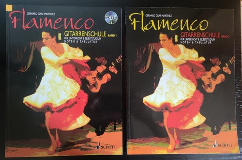 Scuola chitarra flamenco - scuola,