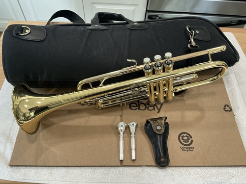 Tromba challenger 3137 - tromba, b&s