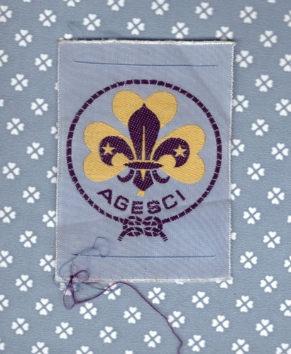 Italy agesci mint - italy, woven