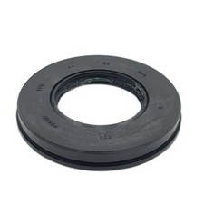 Paraolio pignone catena
