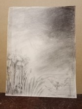 vecchio Disegno Fiori Bianchi,Cm27/20,5