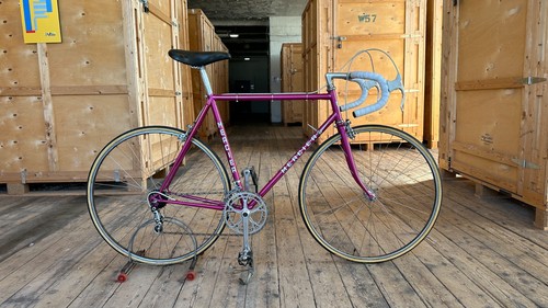 Bicicletta epoca 1981 - bicicletta,
