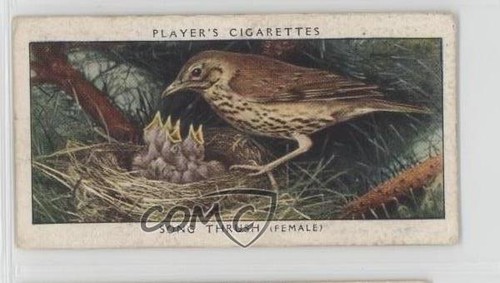 1937 player birds their - player's, &