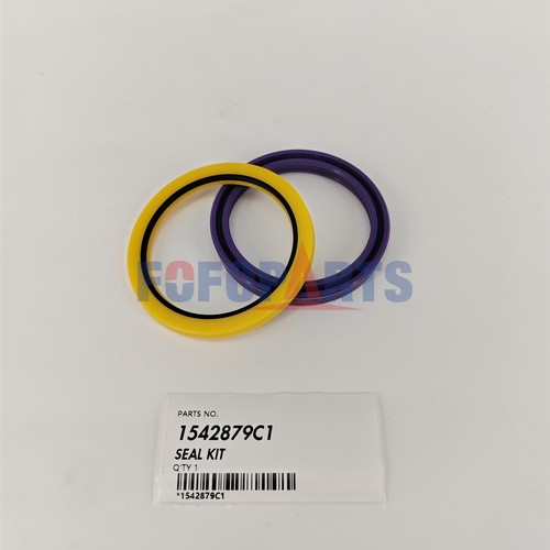 1542879c1 kit guarnizioni - 1542879c1,