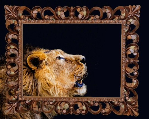 Specchiera legno intagliata - specchiera,
