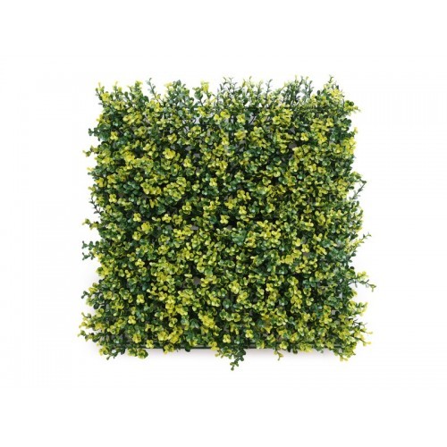 Siepe finta parete 50x50 - finta,