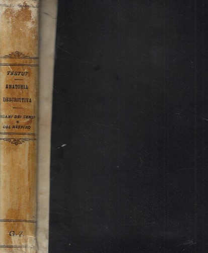 Anatomia umana libro settimo