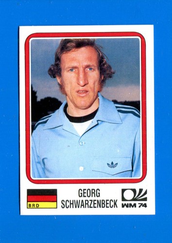 World cup story - panini,