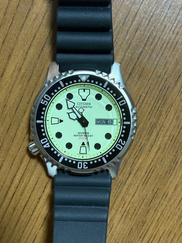 Citizen promaster ny0040 09w - promaster, ny0040-09w