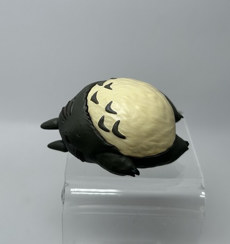 Studio ghibli mio vicino - studio,