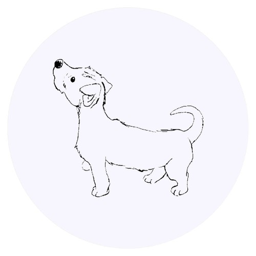 Adesivi jack russel puppy - russel, puppy'