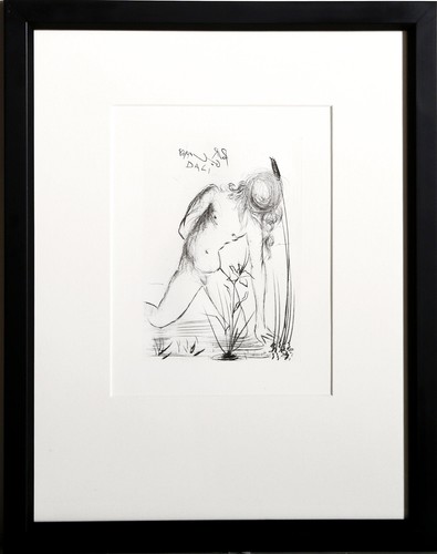 Salvador dali narcissus - dali,