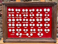 Quadro Monetazione Sicula e Cartagine calchi gesso dal vero 1970 ca