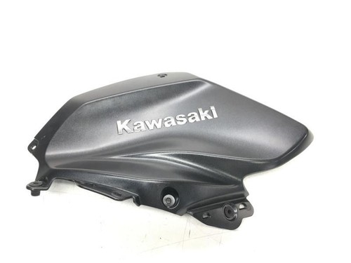 Serbatoio sinistro kawasaki - sinistro, z