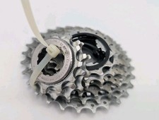 Pignone Campagnolo Chorus