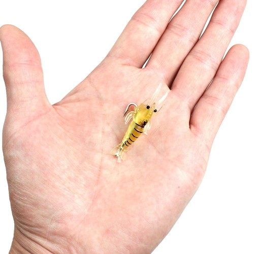 Accessori pesca - pesca,