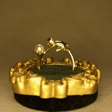 Anello gatto che insegue la