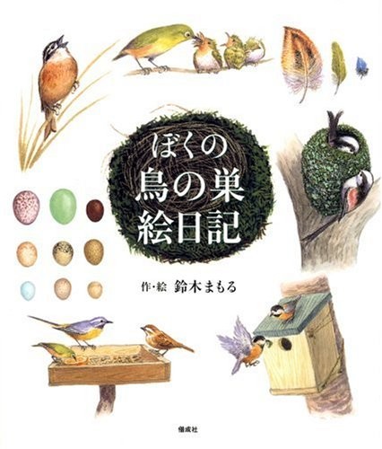Bird nest picture - bird's,