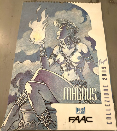 Calendario faac 2009 - calendario, "magnus"