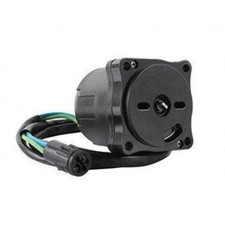 MOTORE POWER TRIM/Inclinazione