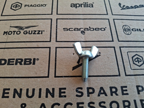 015540 vite galletto - vite,