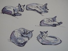 Disegno a penna e inchiostro