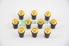 Kit 10 viti ergal cupolino