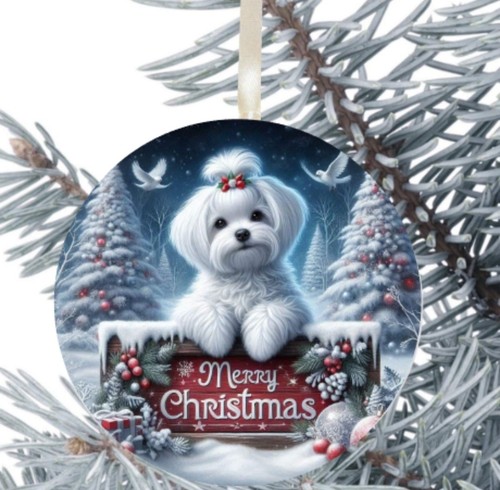 Regalo cane maltese