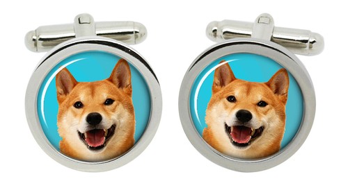 Shiba inu cane gemelli - gemelli, in