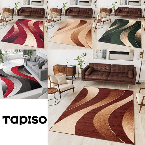 Tappeto soggiorno design