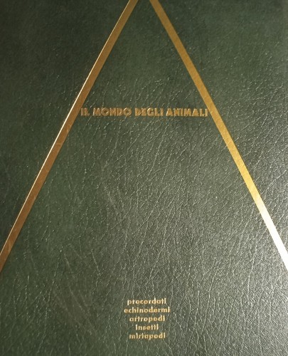 Libro mondo animali - libro, di