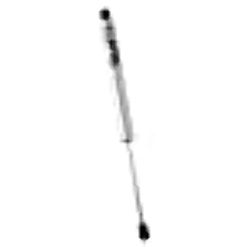 Fox shox performance - fox, 17+