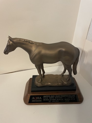 2004 aqha amatoriale grande - 2004,