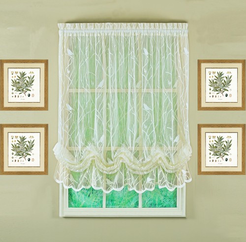 Today curtain songbird - today's, curtain,