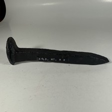 Chiodo binario treno ferrovia