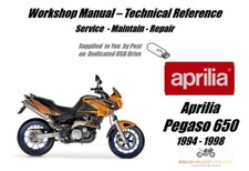 Aprilia Pegaso 650 Manuale