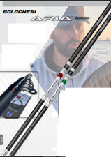 Canna Italica Aria Evolution