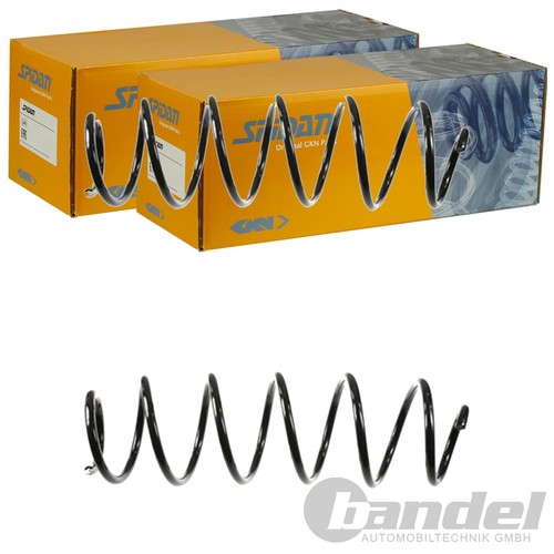 Molle sospensione spidan - 2x,