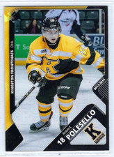 2013-14 Kingston Frontenacs